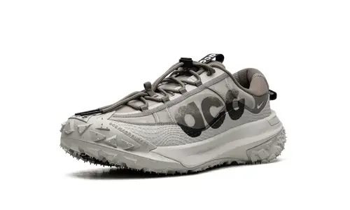 Nike Lifestyle ACG Mountain Fly Low 2 'Iron Ore' 