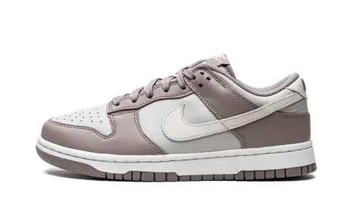 Nike Dunk DUNK LOW WMNS 'Moon Fossil' 