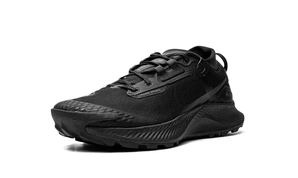 Nike Lifestyle Pegasus Trail 3 GTX 'Gore-Tex - Triple Black' 