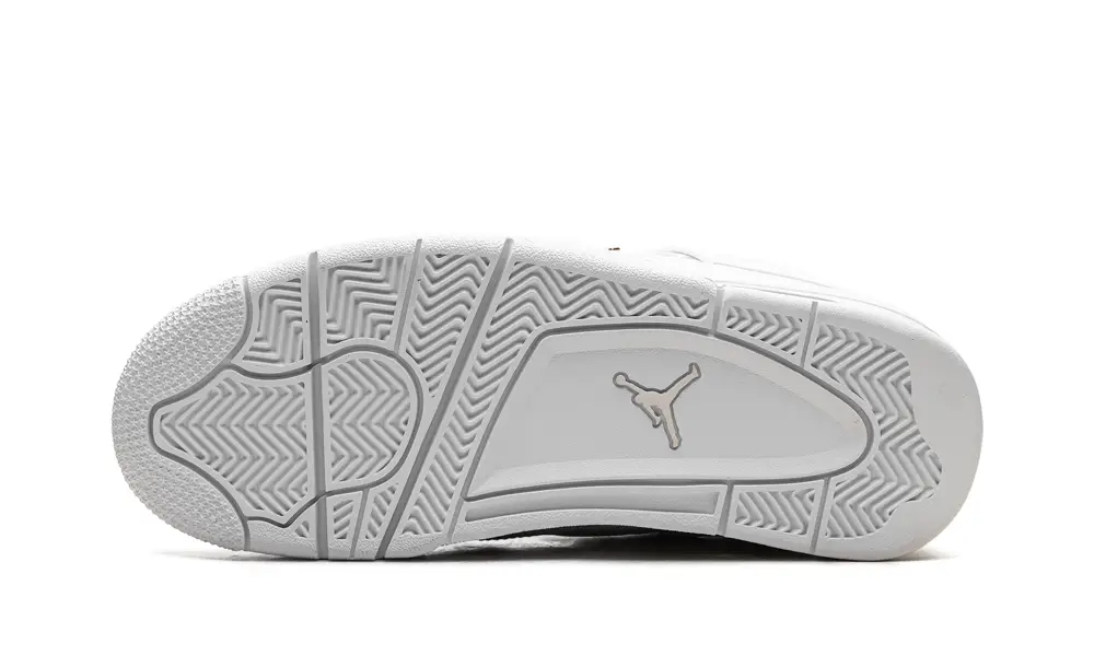 Air Jordan 4 Air Jordan 4 WMNS 'Net'