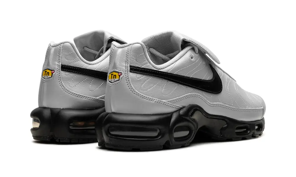 Nike Air Max Air Max Plus 'Wolf Grey' 
