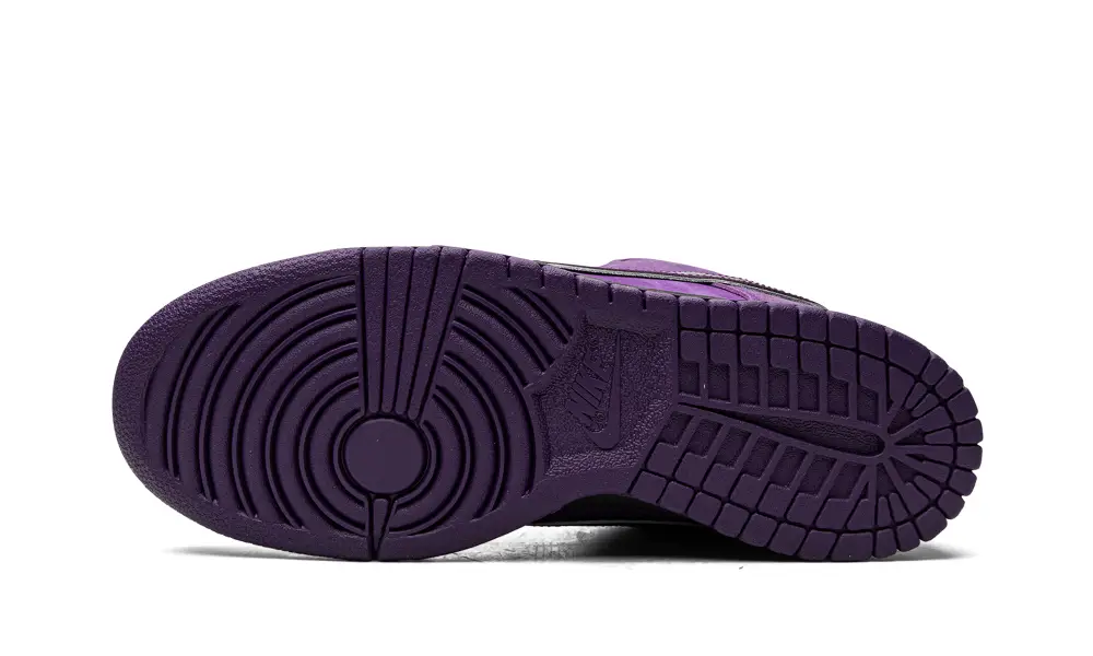 Nike Dunk SB Dunk Low Pro OG QS 'Concepts - Purple Lobster Special Box' 