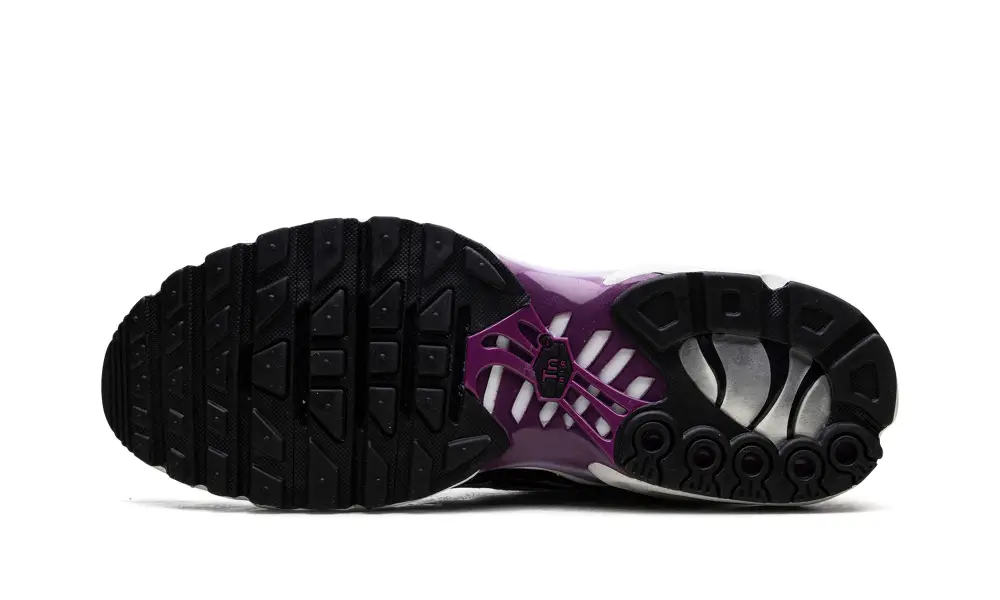 Nike Air Max Air Max Plus 'Lilac Bloom'