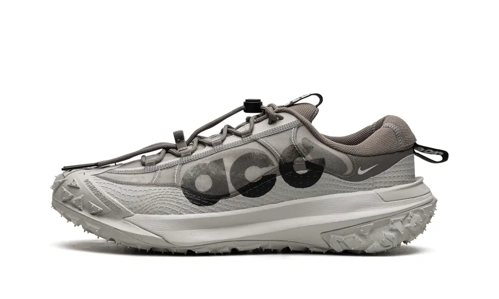 Nike Lifestyle ACG Mountain Fly Low 2 'Iron Ore'