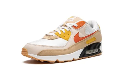 Nike Air Max Air Max 90 'Pressure' 