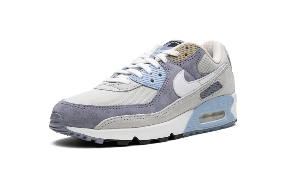 Nike Air Max Air Max 90 'Ashen Slate'