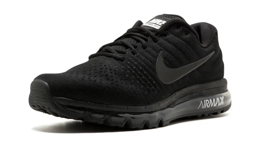 Nike Air Max Air Max 2017 'Triple Black'