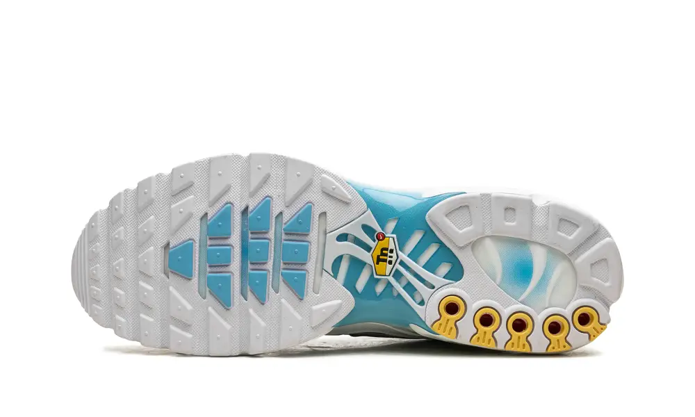 Nike Air Max Air Max Plus 'Marseille' 