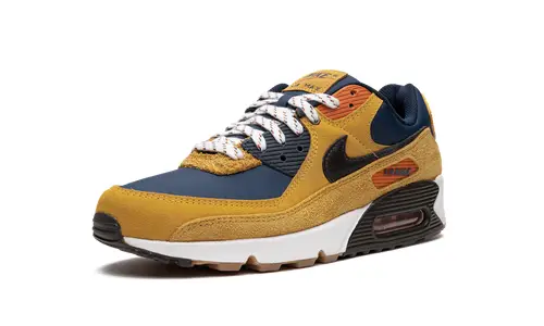 Nike Air Max Air Max 90 'Bucktan' 