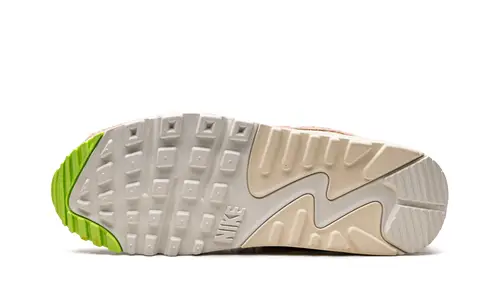 Nike Air Max AIR MAX 90 MNS WMNS 'Easter Leopard' 