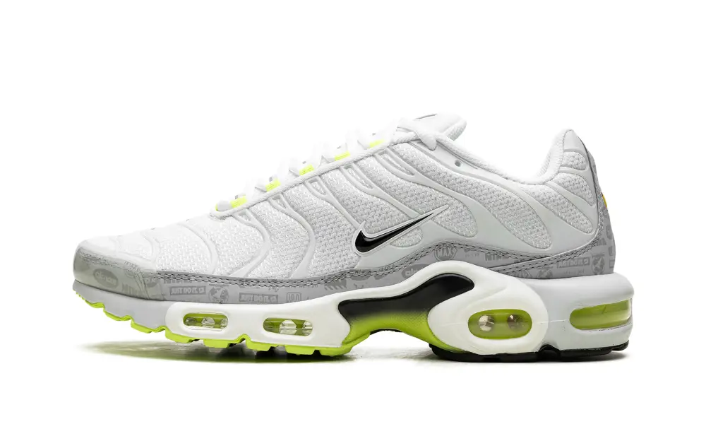 Nike Air Max Air Max Plus 'Platinum Grey Reflective Logos' 