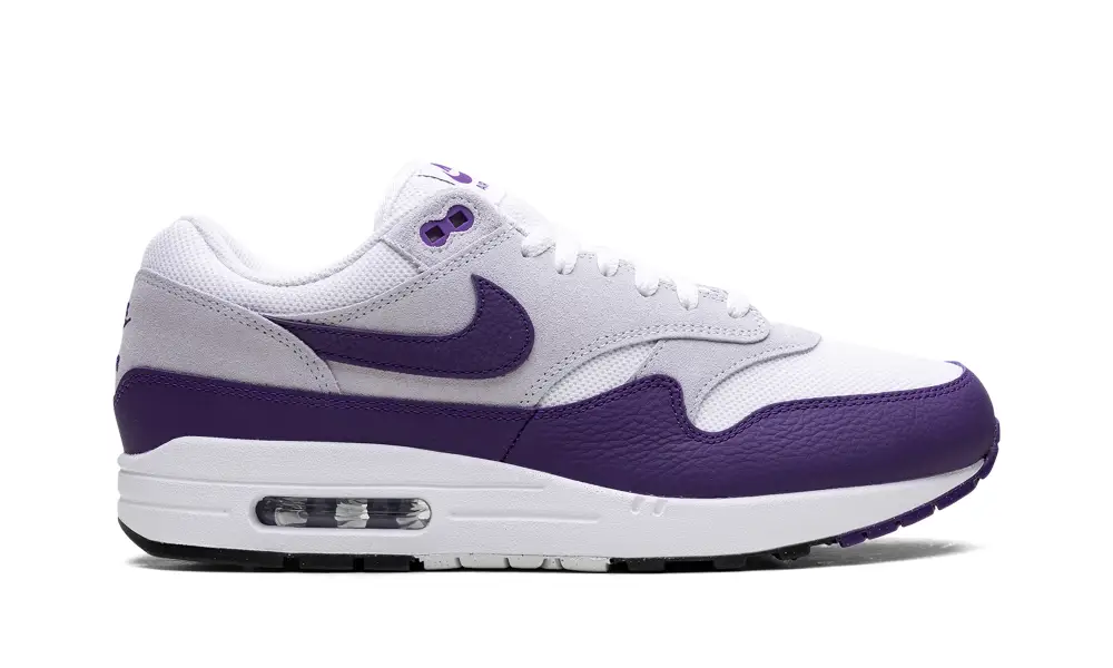 Nike Lifestyle Air Max 1 SC 'Field Purple' 