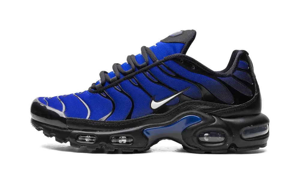 Nike Air Max AIR MAX PLUS 'Black' 