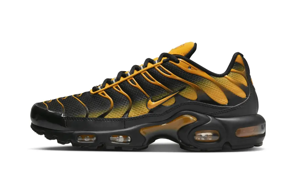 Nike Air Max AIR MAX PLUS 'Black' 