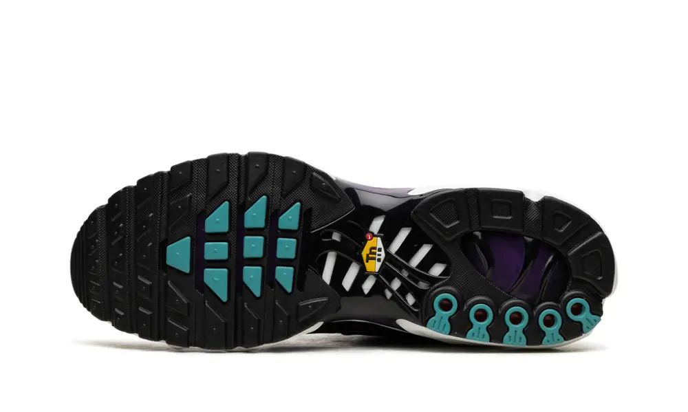Nike Air Max Air Max Plus 'Reverse Grape'