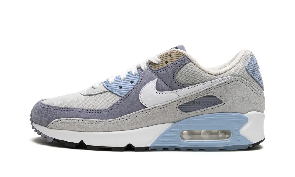 Nike Air Max Air Max 90 'Ashen Slate'