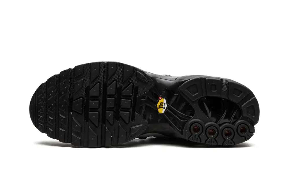 Nike Air Max Air Max Plus 'Bungee' 