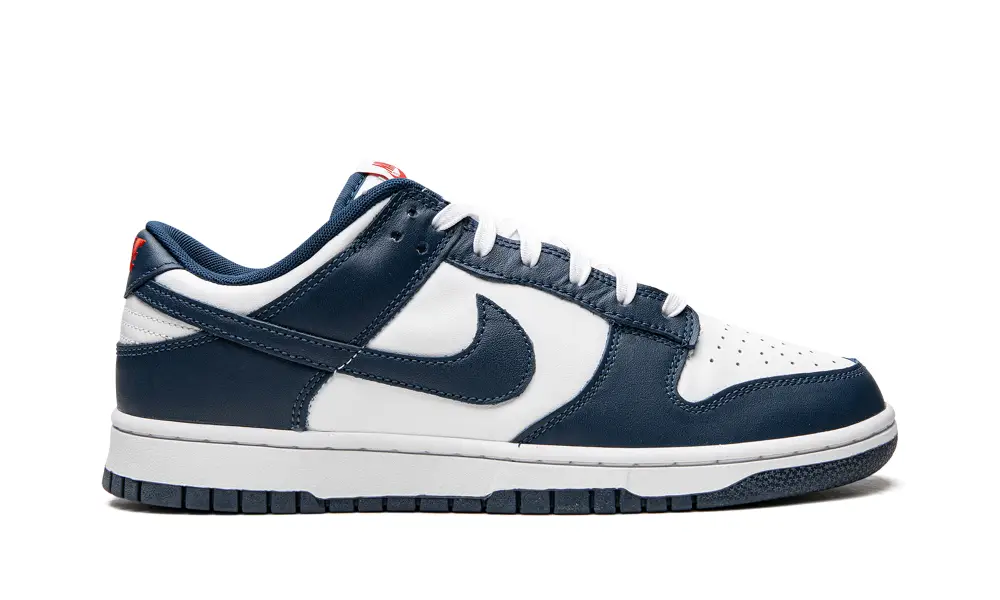 Nike Dunk Dunk Low Retro 'USA'