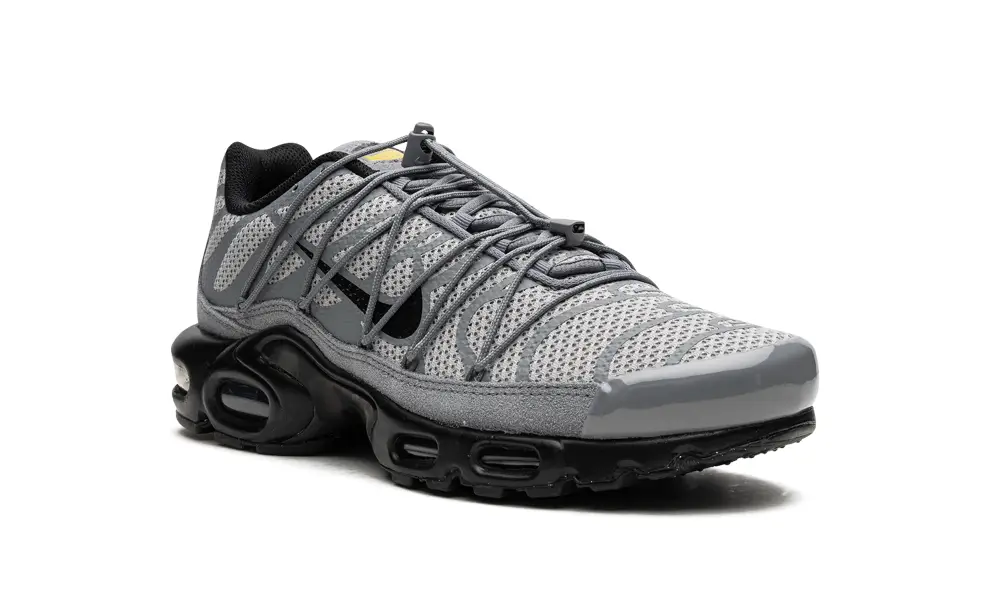 Nike Air Max Air Max Plus 'Bungee' 