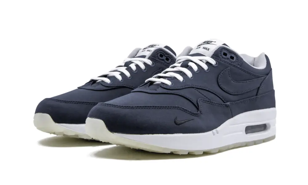 Nike Air Max Air Max 1 'DSM' EF3B63320