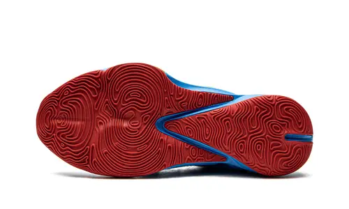 Nike Basketball Zoom Freak 3 NRG