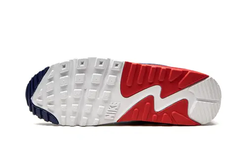 Nike Air Max Air Max 90 'USA' 