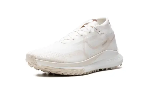 Nike Lifestyle React Pegasus Trail 4 GTX 'Phantom'