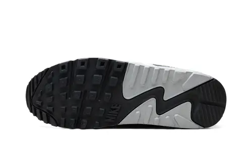 Nike Air Max Air Max 90 Premium DB 'Oregon'
