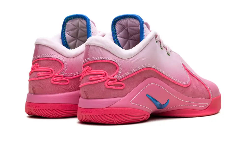 Nike Basketball LeBron 22 'I Promise' 