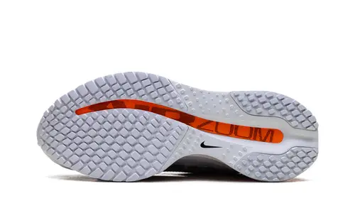 Nike Lifestyle Air Zoom Pegasus Premium WMNS 'Airscape' 