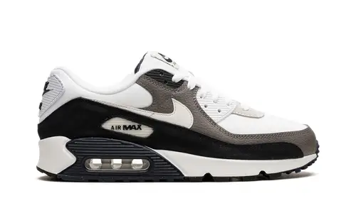 Nike Air Max Air Max 90 'Flat Pewter'