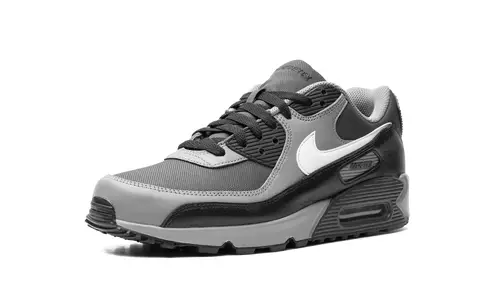 Nike Air Max Air Max 90 GORE-TEX 'Dark Smoke Grey' 