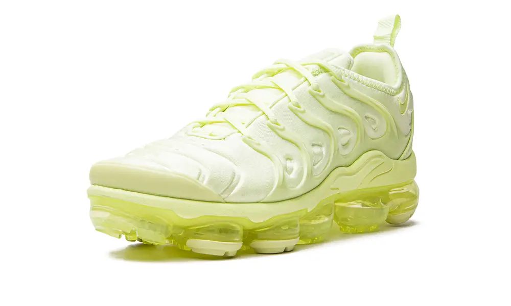 Nike Air Max AIR VAPORMAX PLUS WMNS 