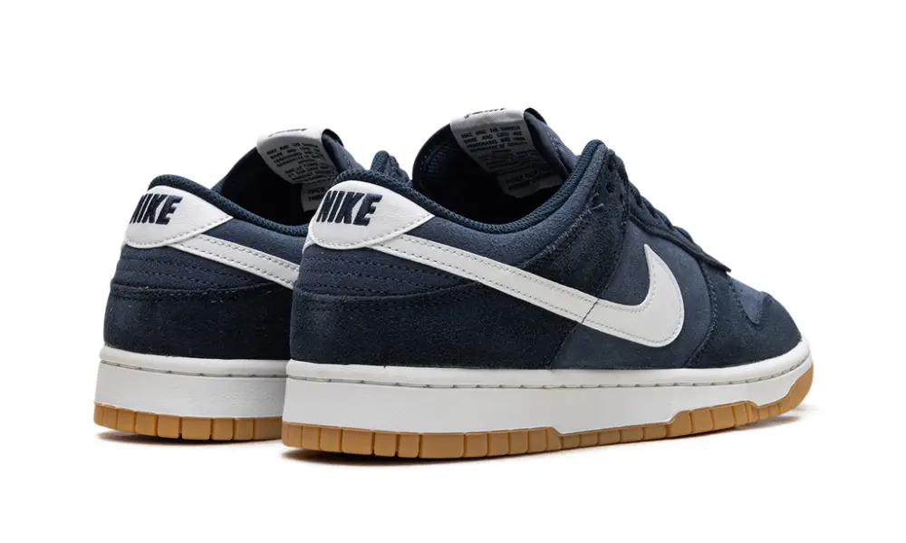 Nike Dunk Dunk Low Retro SE 'Monsoon Blue'