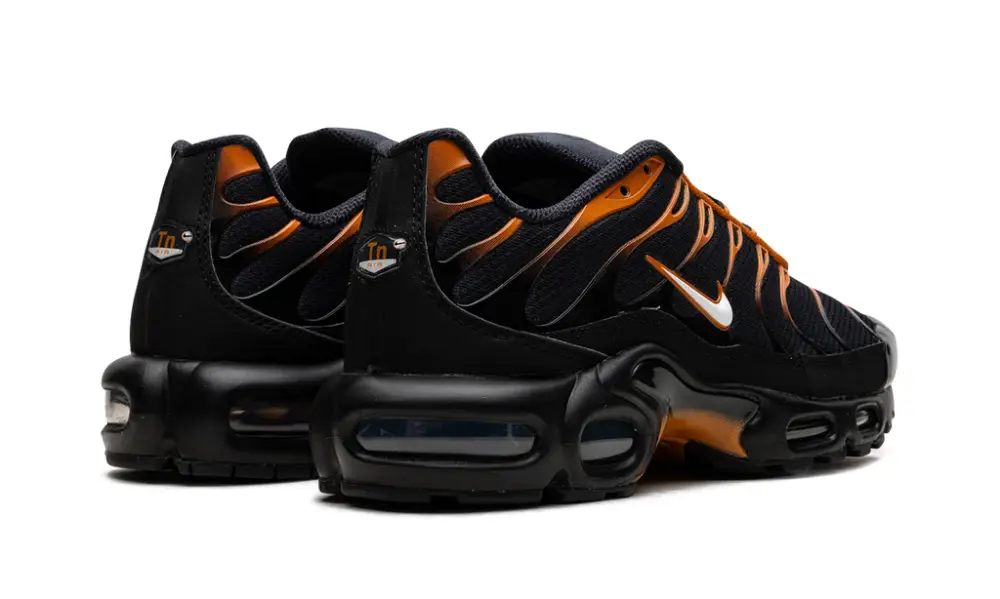 Nike Air Max Air Max Plus 'OBSIDIAN MONARCH' 