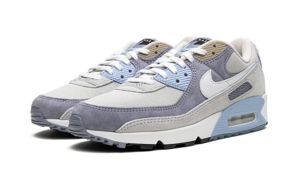 Nike Air Max Air Max 90 'Ashen Slate'