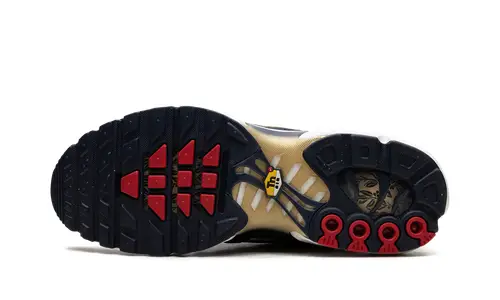 Nike Air Max Air Max Plus 'FFF' 