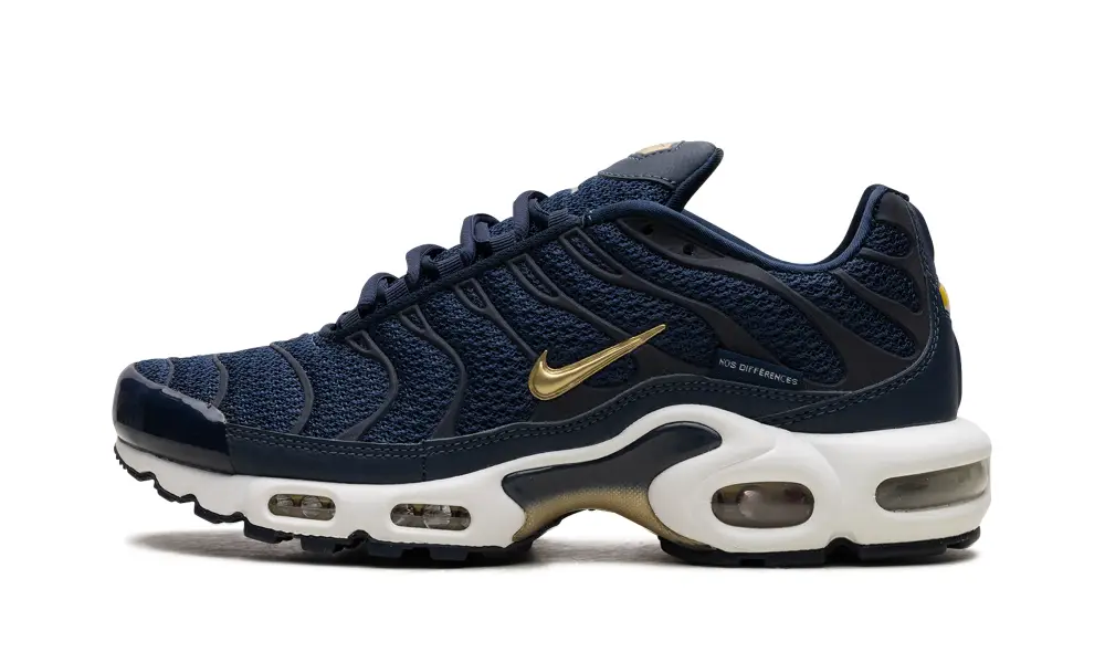 Nike Air Max Air Max Plus 'FFF'