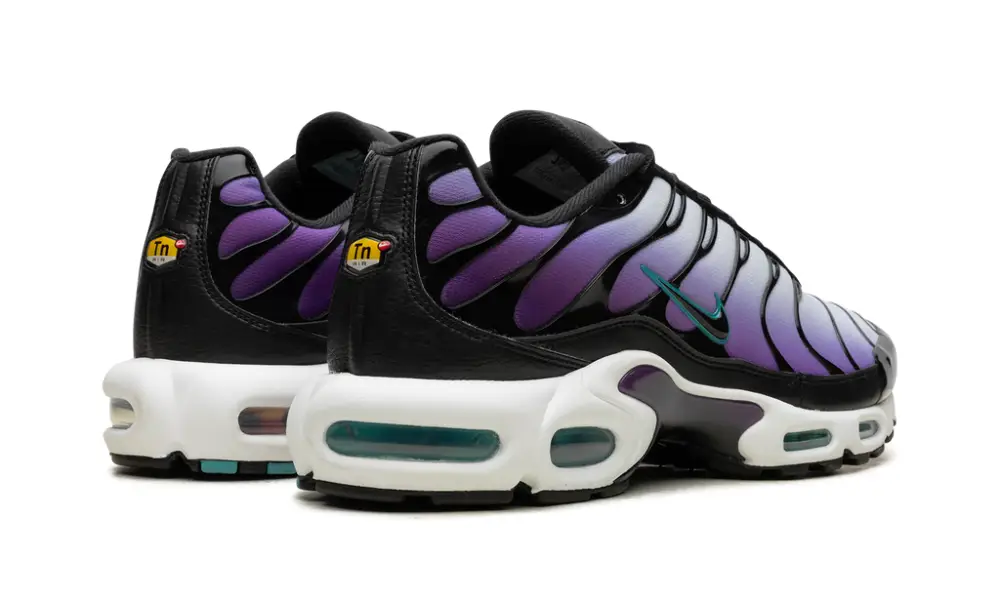 Nike Air Max Air Max Plus 'Reverse Grape'