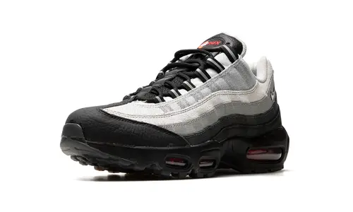 Nike Air Max Air Max 95 'Fish Scales'