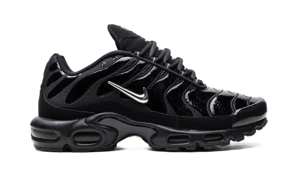 Nike Air Max Air Max Plus 'Metallic Black'