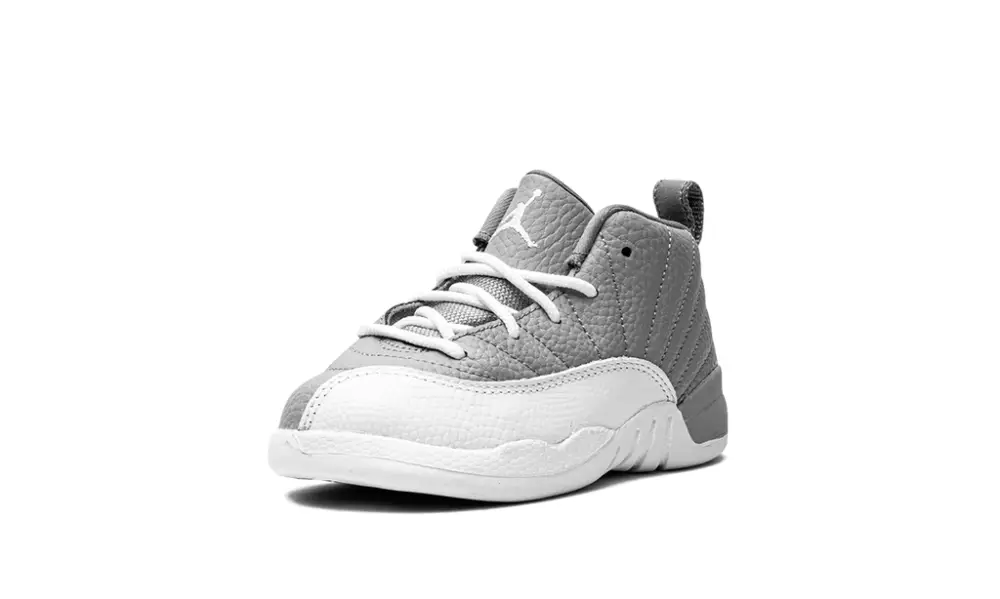 Air Jordan 12 Jordan 12 Retro TD 'Stealth' 
