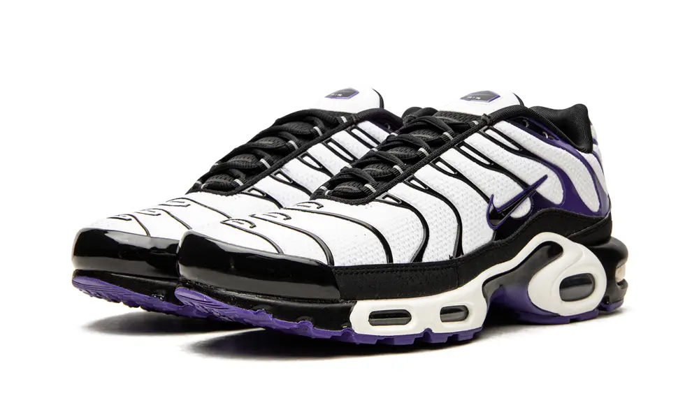Nike Air Max Air Max Plus 'Persian Violet' 