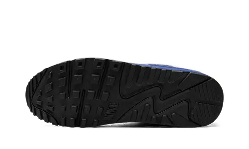 Nike Air Max Air Max 90 'White Game Royal'