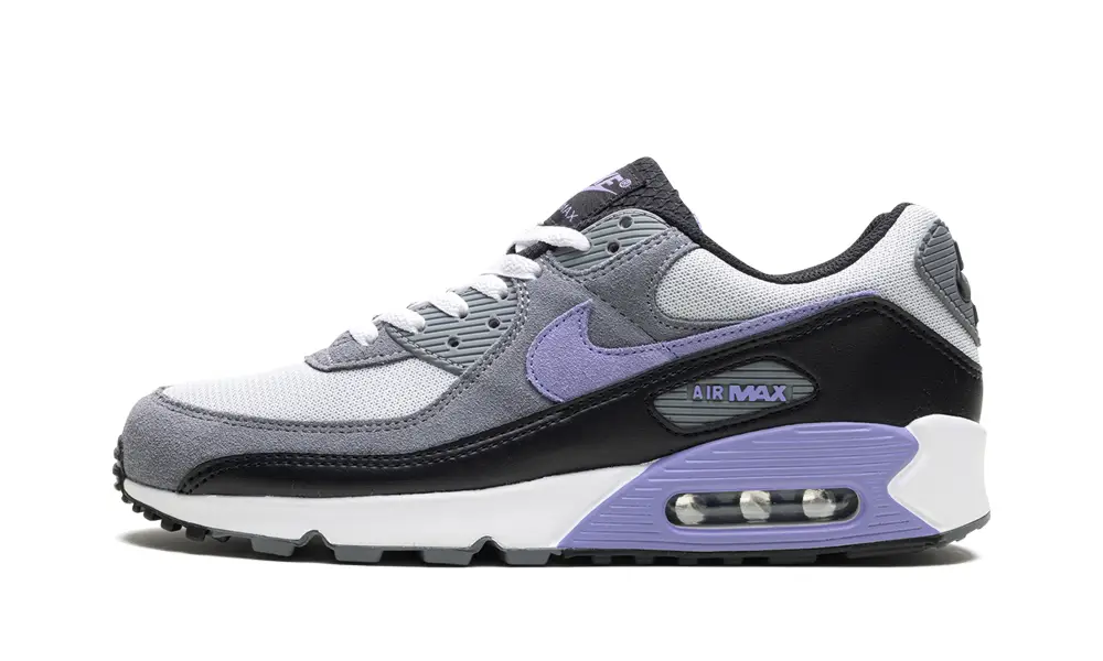 Nike Air Max Air Max 90 'Light Thistle' 
