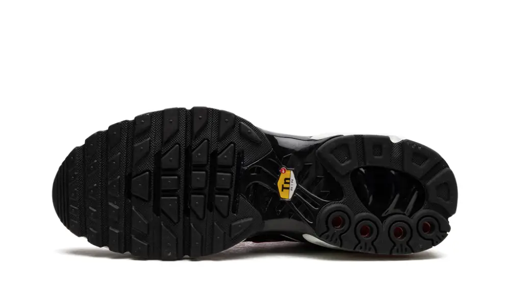 Nike Air Max AIR MAX PLUS WMNS 'Dusk'