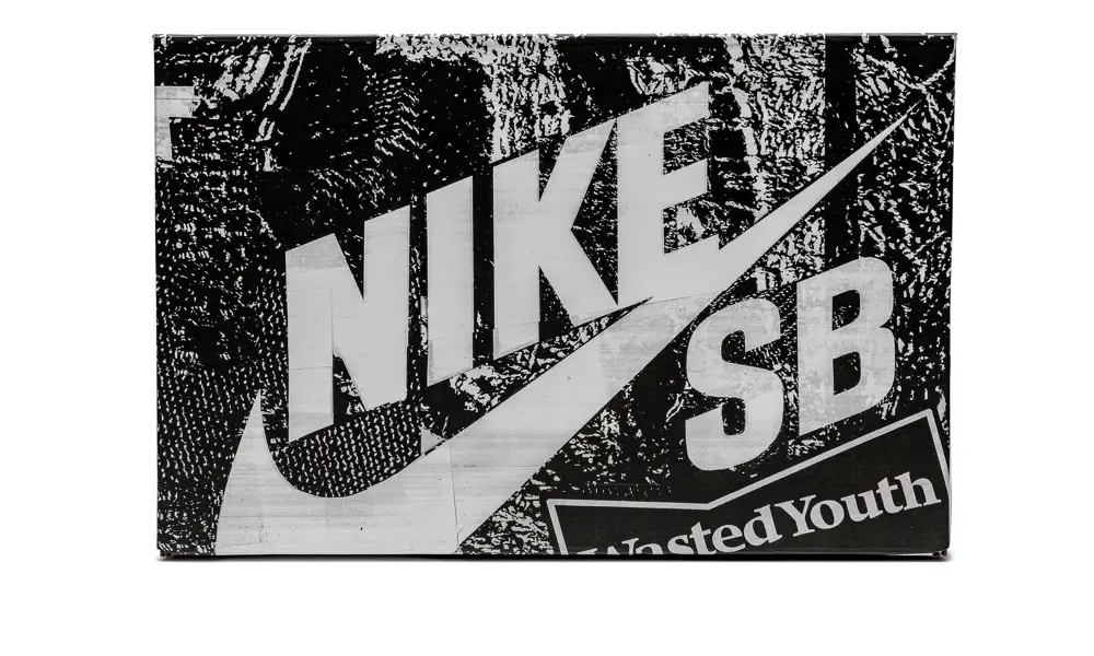 Nike Dunk SB Dunk Low 'Wasted Youth - Special Box'