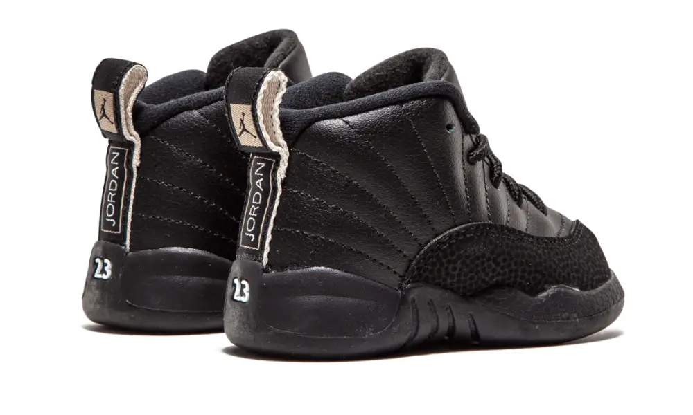 Air Jordan 12 Jordan 12 Retro BT TD 'The Master'