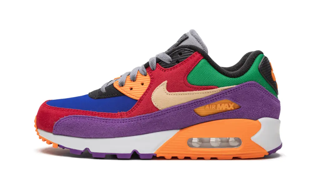 Nike Air Max Air Max 90 'Viotech'