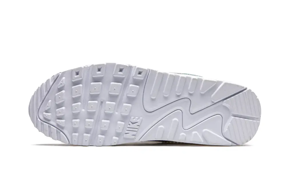 Nike Air Max Air Max 90 'Bubble Pack'